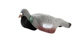 Stagline Pidgeon flocked