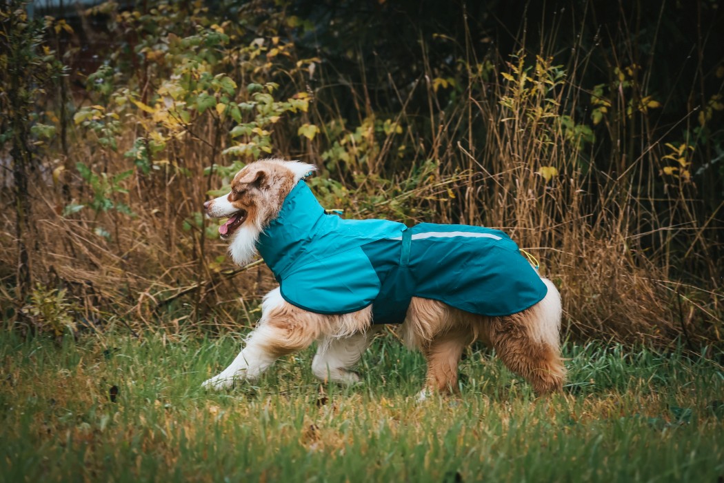 Non-stop Dogwear Fjord Regntäcke 2.0 Teal 40-90