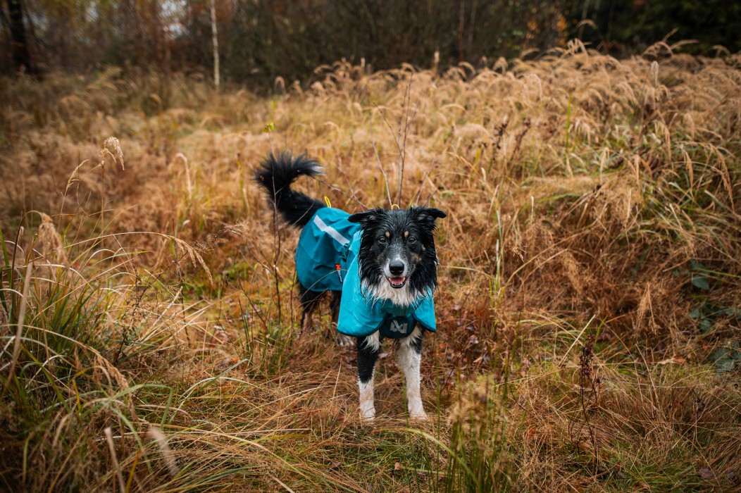 Non-stop Dogwear Fjord Regntäcke 2.0 Teal 40-90
